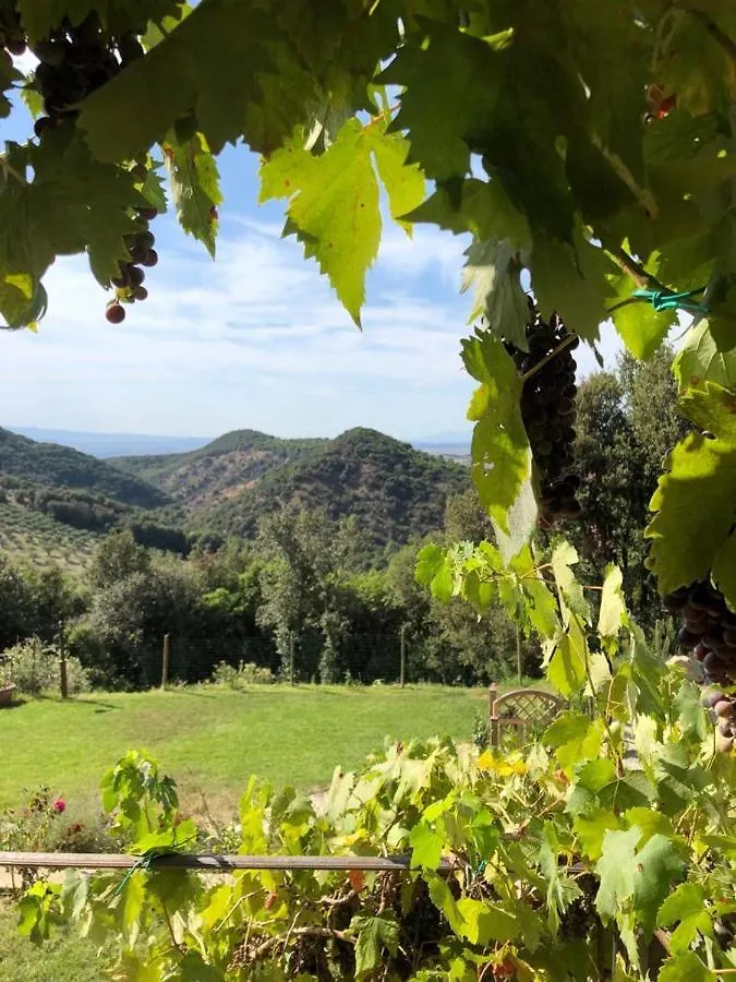 Podere Ripi فولتيرا 0*,  إيطاليا